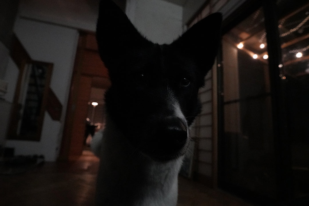 静寂、経験、感謝