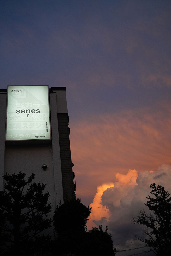 動画を読み込む: 