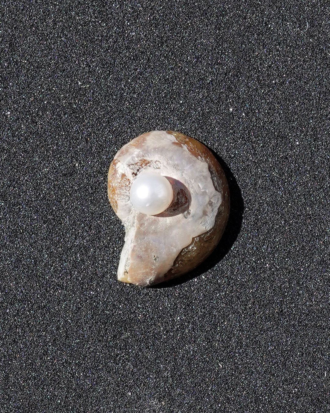 ammonite akoya ring
