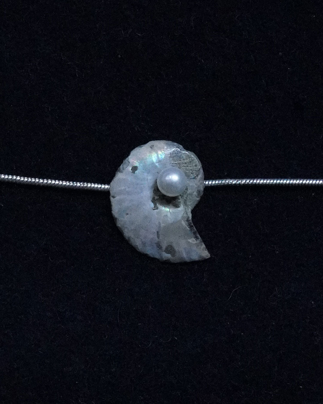 ammonite akoya necklace