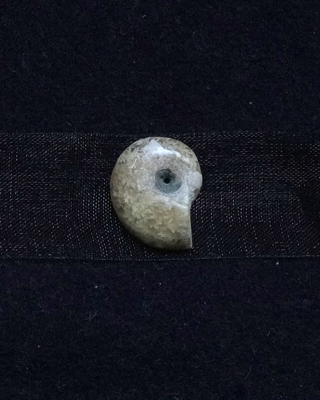ammonite akoya ribon choker