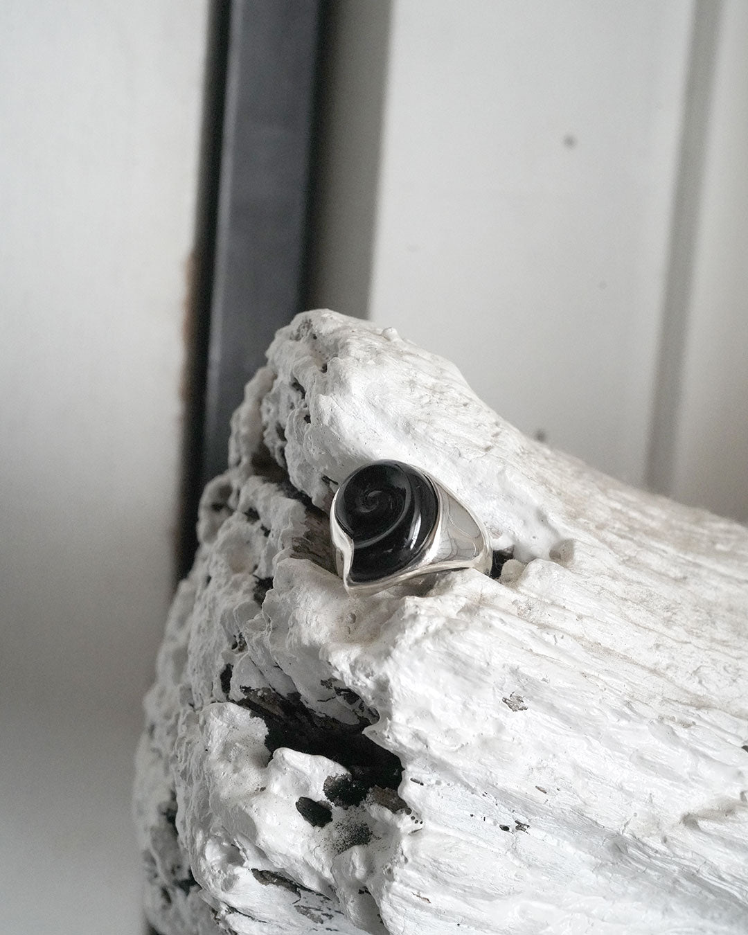 onyx ammonite ring