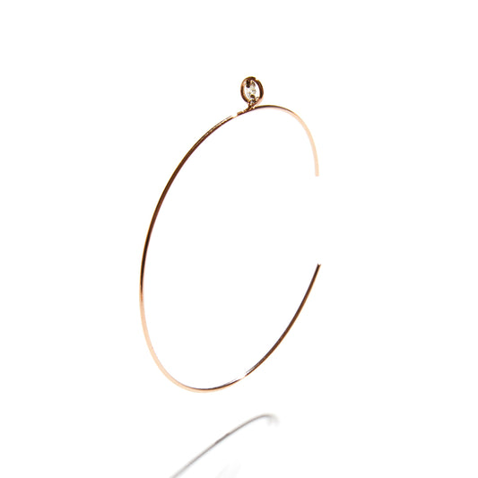 EYESIGHT EARRING L