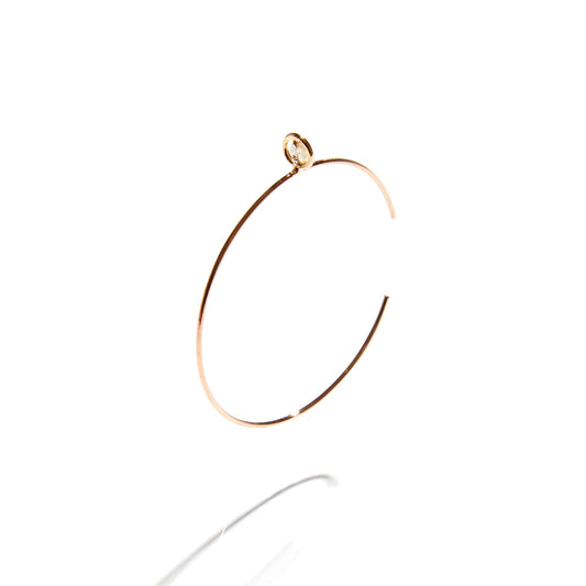 EYESIGHT EARRING M