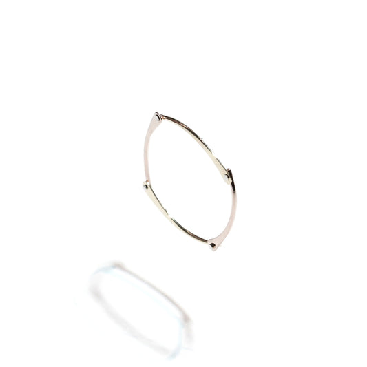 STEAM RING