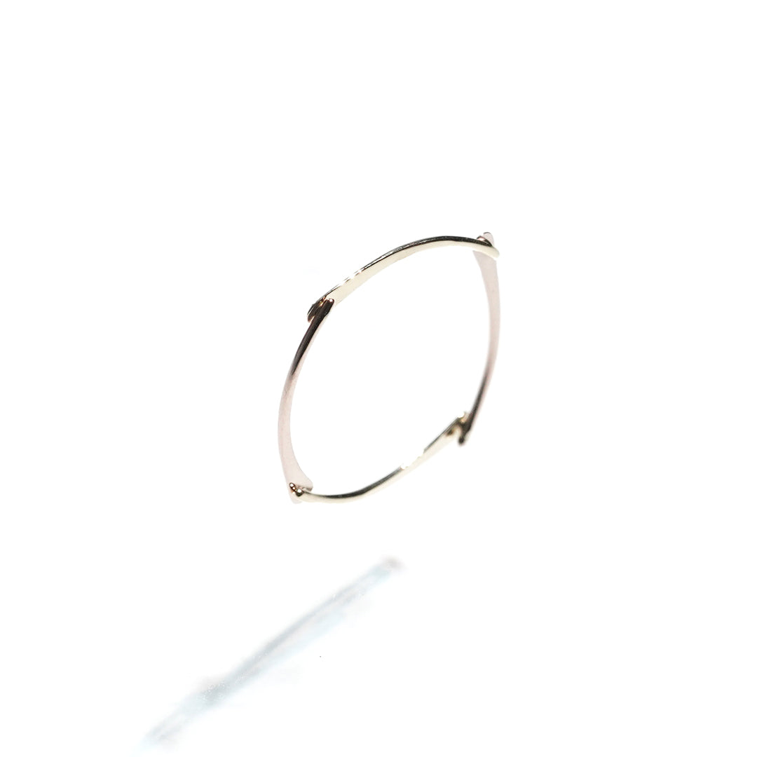STEAM RING